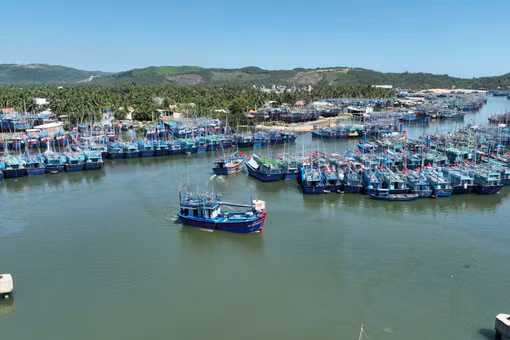 Đề nghị phối hợp xử lý thuyền trưởng tàu cá ở Hoài Nhơn Đông chây ỳ nộp phạt vi phạm