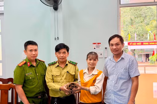 Người dân xã Ân Hảo (tỉnh Gia Lai) tự nguyện giao nộp rùa núi vàng.