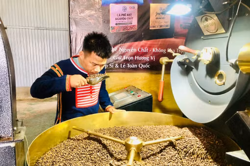 Tạo đà cho “trụ đỡ” của ngành nông nghiệp bứt phá - Kỳ cuối: Tạo lực để bứt phá