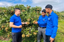 Bí thư Đoàn xã trách nhiệm, nhiệt huyết vì cộng đồng