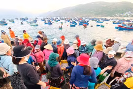 gia-lai-bo-sung-11-cang-ca-diem-len-ca-tam-thoi