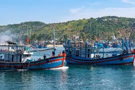 gia-lai-tau-thuyen-ung-pho-ap-thap-nhiet-doi-manh-len-thanh-bao
