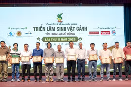 gia-lai-be-mac-lien-hoan-sinh-vat-canh-mo-rong-lan-thu-hai