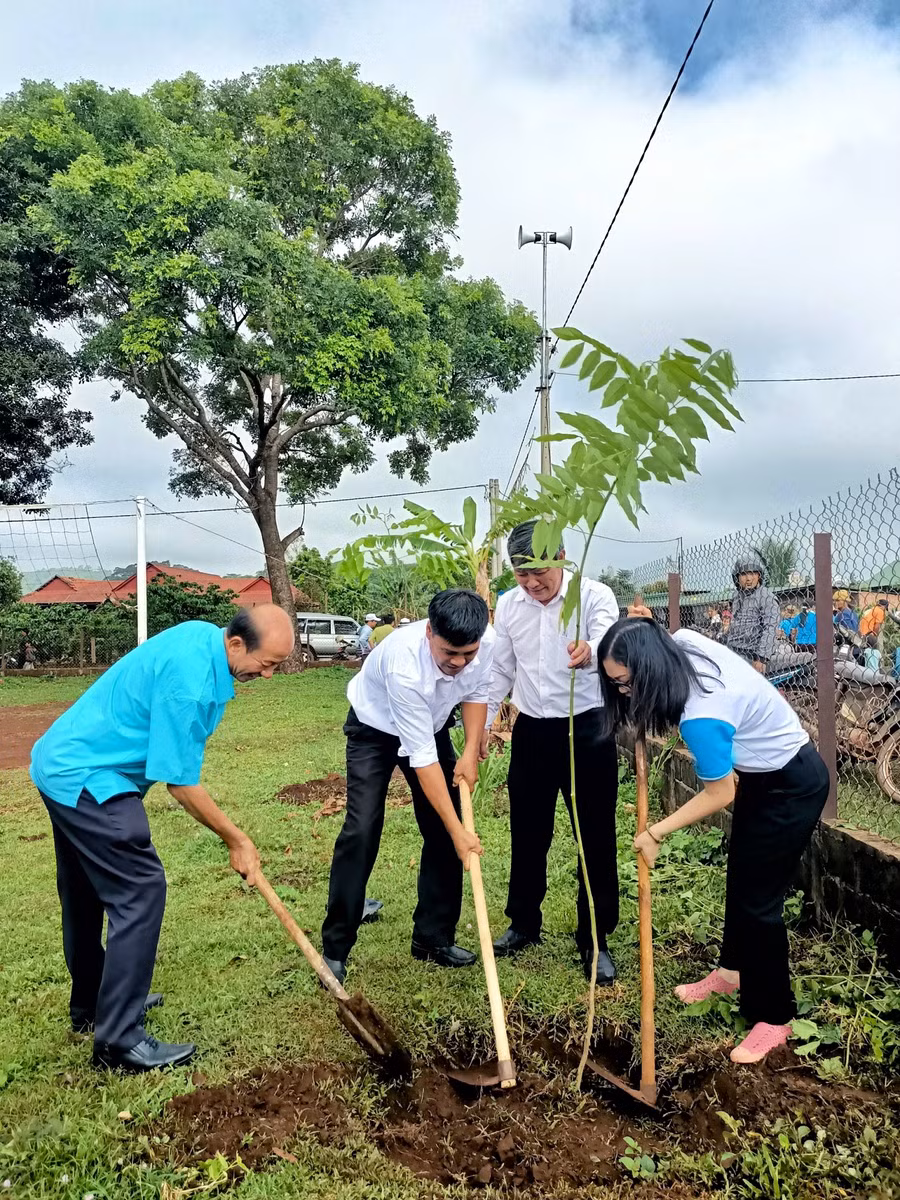 Trồng cây trong khuôn viên nhà rông làng Kép 1. Ảnh: Minh Châu
