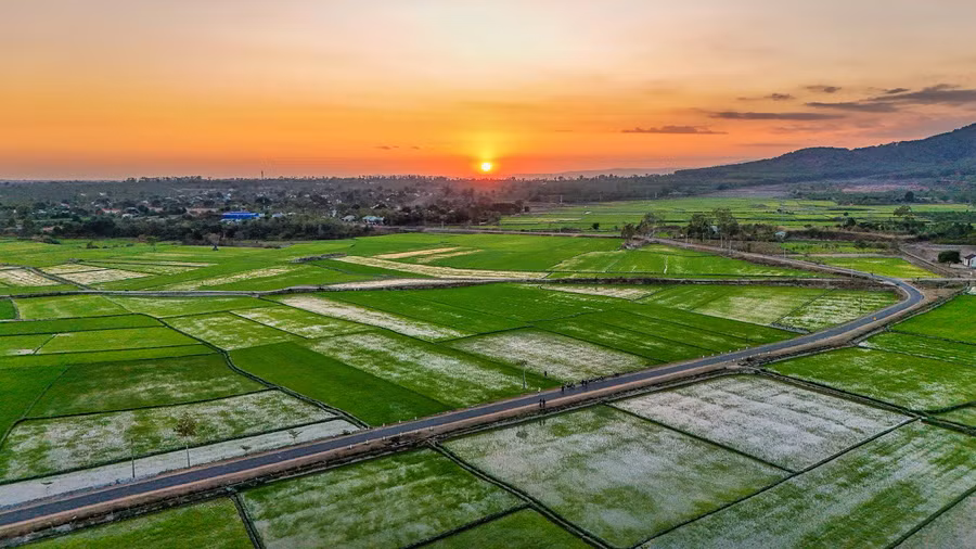 Cánh đồng Chư Jôr có view 360 độ, ngắm được những thời khắc bình minh và hoàng hôn cuối ngày. Ảnh: Bi Ly