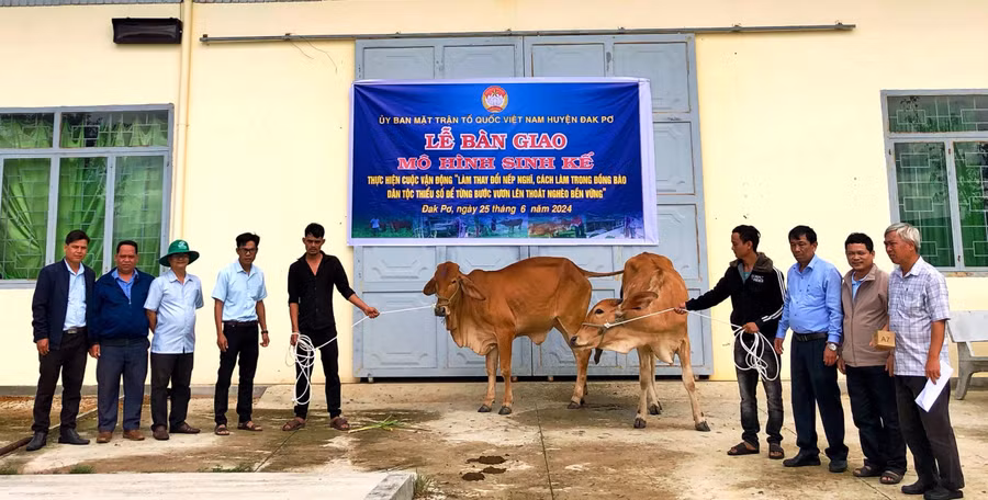 Ban thường trực Ủy ban MTTQ Việt Nam huyện Đak Pơ trao mô hình sinh kế bò giống sinh sản cho 2 hộ nghèo. Ảnh: Lan Anh