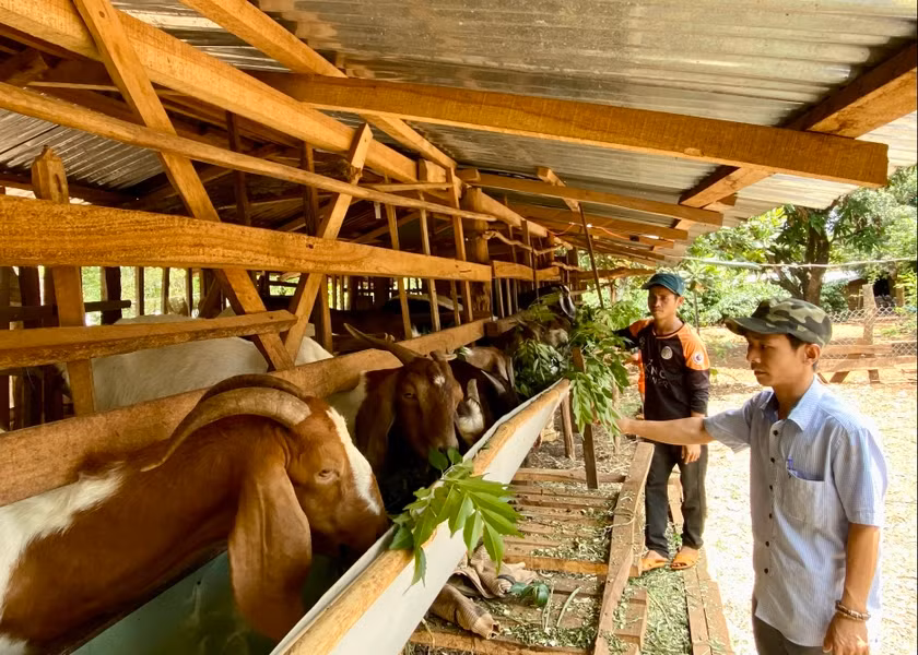 Gia Lai triển khai nhiều giải pháp để kéo giảm tỷ lệ hộ nghèo trong đồng bào dân tộc thiểu số. Ảnh: Hà Duy