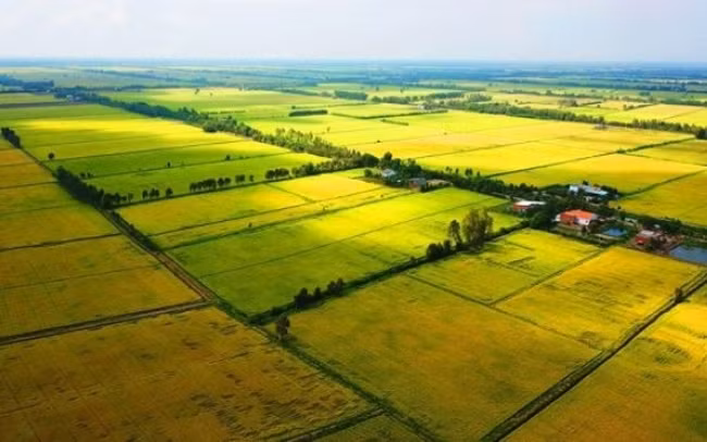 Luật sư Bùi Thanh Vũ tư vấn pháp luật về cấp giấy chứng nhận quyền sử dụng đất. Ảnh minh họa (nguồn internet) Luật sư Bùi Thanh Vũ tư vấn pháp luật về cấp giấy chứng nhận quyền sử dụng đất. Ảnh minh họa (nguồn internet)