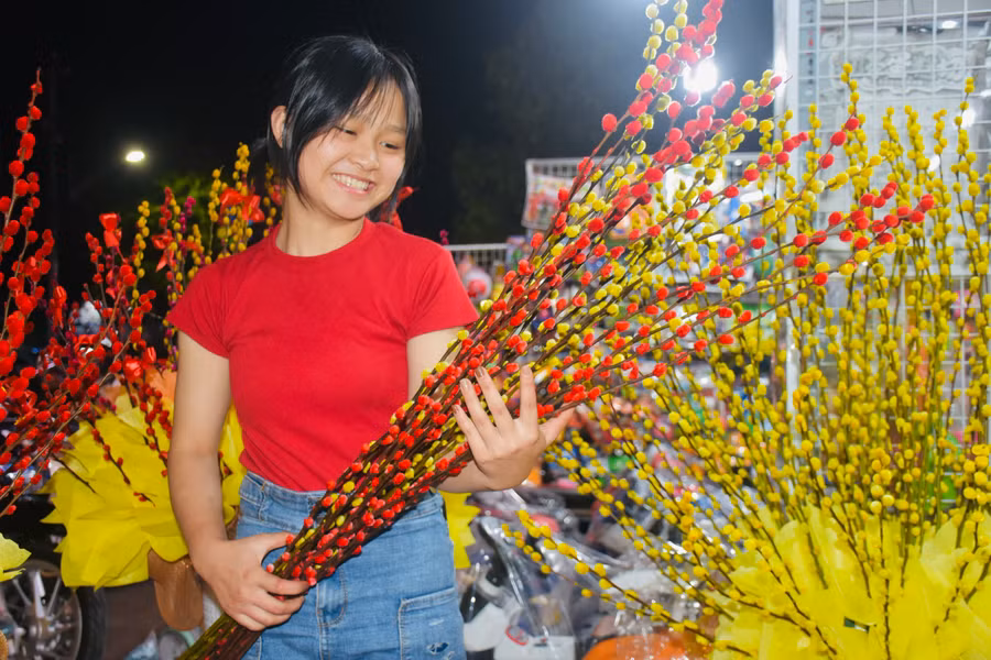 Với ý nghĩa sinh sôi, nảy lộc, hoa tầm xuân đã khiến nhiều người “phải lòng” trong mỗi dịp Tết. Ảnh: Mai Ka