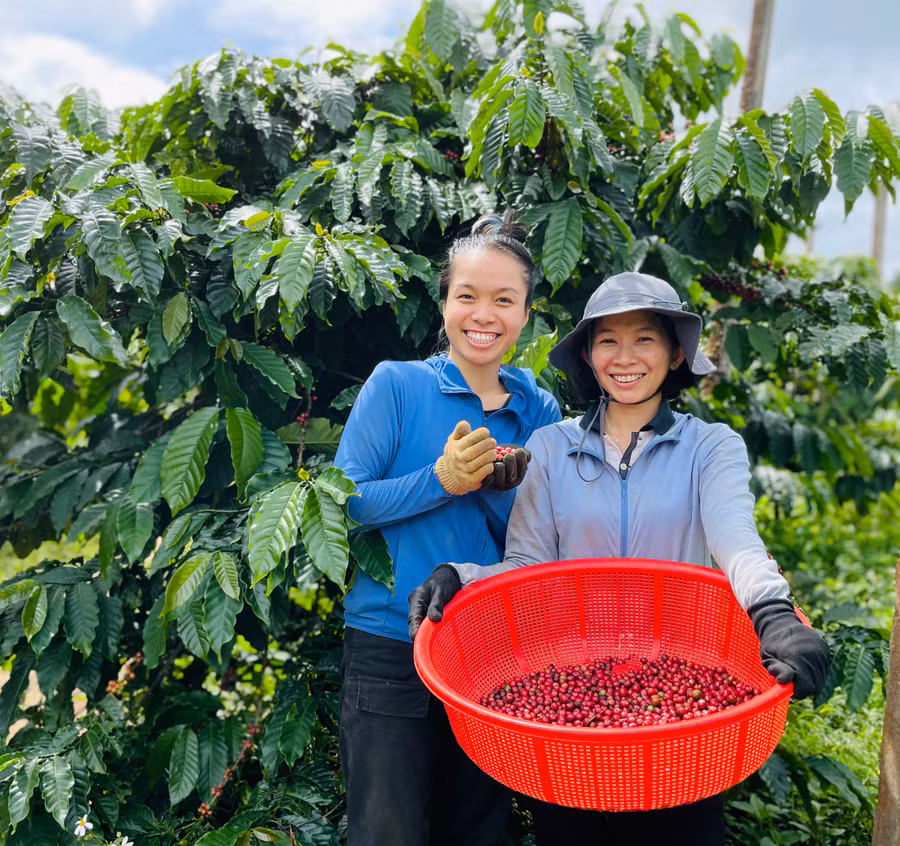 Bạn Võ Phương Thảo (áo xanh) đặc biệt yêu mến mảnh đất Pleiku qua chương trình tình nguyện viên nông nghiệp. Ảnh: Mai Ka