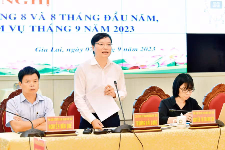 Chủ tịch UBND tỉnh Trương Hải Long phát biểu tại hội nghị. Ảnh: Đức Thụy
