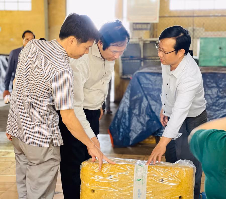 3Đoàn công tác Hội đồng Giải thưởng Chất lượng quốc gia kiểm tra hoạt động tại nhà máy chế biến mủ cao su. Ảnh: Mai Ka