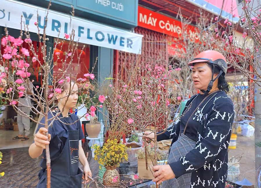 Bà Đỗ Thị Hải Lan (bìa phải; tổ 5, phường Ia Kring, TP. Pleiku) chọn mua đào mini để chưng trên bàn thờ gia tiên ngày Tết. Ảnh: Mộc Trà Bà Đỗ Thị Hải Lan (bìa phải; tổ 5, phường Ia Kring, TP. Pleiku) chọn mua đào mini để chưng trên bàn thờ gia tiên ngày Tết. Ảnh: Mộc Trà