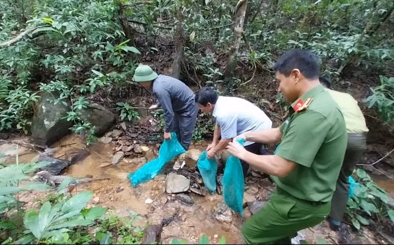 Các đơn vị thả 8 cá thể động vật hoang dã về môi trường tự nhiên. Ảnh: H.T Các đơn vị thả 8 cá thể động vật hoang dã về môi trường tự nhiên. Ảnh: H.T