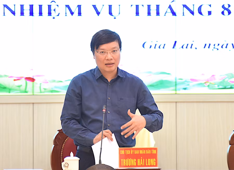 Chủ tịch UBND tỉnh Trương Hải Long phát biểu tại hội nghị. Ảnh: Đức Thụy
