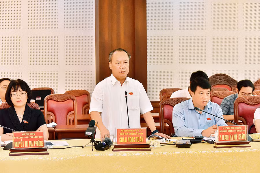 Phó Bí thư Thường trực Tỉnh ủy, Trưởng Đoàn đại biểu Quốc hội tỉnh Châu Ngọc Tuấn phát biểu tại buổi làm việc. Ảnh: Đức Thuỵ