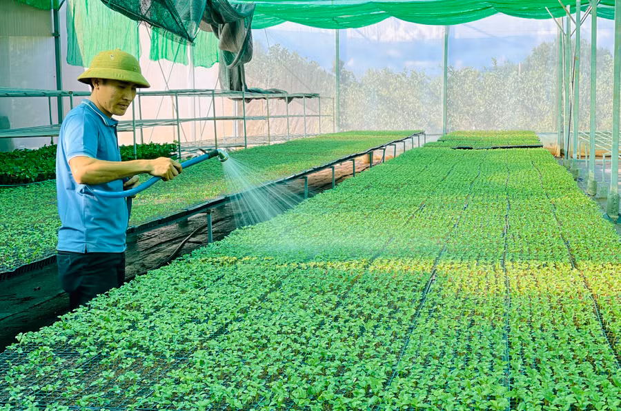 Đề xuất nhiệm vụ KH-CN cấp quốc gia thuộc Chương trình quốc gia phát triển công nghệ cao đến năm 2030. Ảnh: Mai Ka Đề xuất nhiệm vụ KH-CN cấp quốc gia thuộc Chương trình quốc gia phát triển công nghệ cao đến năm 2030. Ảnh: Mai Ka