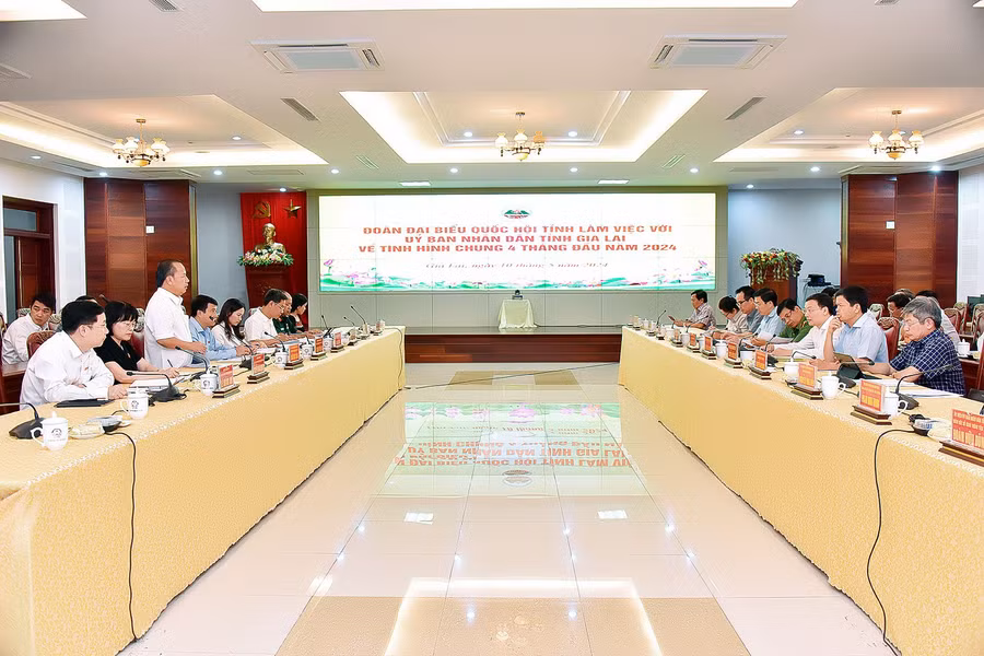 Quang cảnh buổi làm việc. Ảnh: Đức Thuỵ