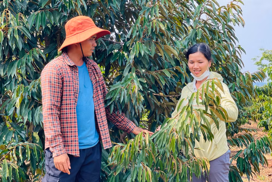 Phát triển tổ hội, chi hội nghề nghiệp giúp nông dân huyện Chư Păh có cơ hội liên kết sản xuất, nâng cao giá trị sản phẩm. Ảnh: Mai Ka Phát triển tổ hội, chi hội nghề nghiệp giúp nông dân huyện Chư Păh có cơ hội liên kết sản xuất, nâng cao giá trị sản phẩm. Ảnh: Mai Ka
