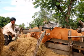 Thị xã Ayun Pa: Tổng dư nợ cho vay đạt gần 838 tỷ đồng