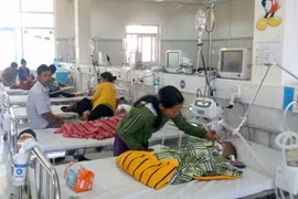 Cảnh báo nguy cơ ngộ độc thực phẩm do độc tố tự nhiên