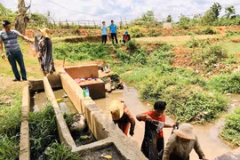 Về làng Kuai