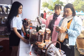 Tìm đầu ra cho sản phẩm OCOP