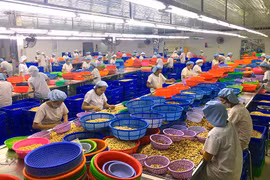 Thu hút nguồn vốn FDI: Vẫn là tiềm năng