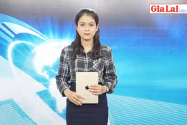 Gia Lai 48h: Chủ động phòng-chống hạn mùa khô năm 2019-2020