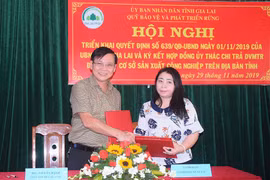 Dịch vụ môi trường rừng tại Gia Lai: Cơ sở công nghiệp không đứng ngoài cuộc