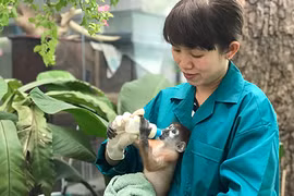 Chuyện về vườn thú 155 tuổi: Trung tâm cứu hộ và chăm sóc thú