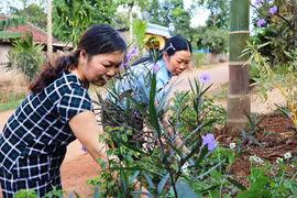 Gia Lai tổ chức các hoạt động hưởng ứng Ngày Môi trường thế giới