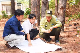 Xử lý dân sống ở rừng thông dọc QL19 cần giải pháp hợp tình,hợp lý
