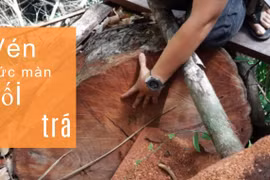 Phá rừng lấy đất ở Ea Kar: Vén bức màn dối trá