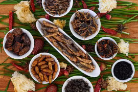 Món ăn kỳ quái nhưng chống ung thư cực kỳ hiệu quả
