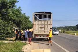 Bị tai nạn khi trên đường tới bệnh viện chờ sinh, thai phụ tử vong