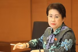 Bà Phan Thị Mỹ Thanh bị cách tất cả các chức vụ trong Đảng