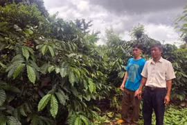 Cựu chiến binh làm giàu từ vườn-ao-chuồng
