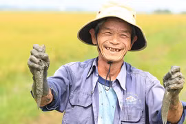 Buộc đất lửa phải nảy mầm xanh