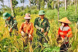 "Cột mốc sống" trên biên giới Gia Lai