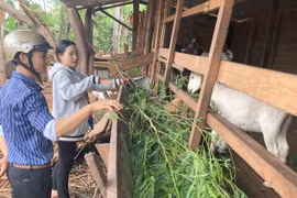 Chư Pưh nỗ lực xây dựng nông thôn mới