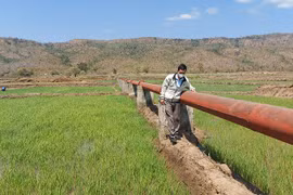 Khát vọng Ayun