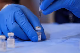 CEO Pfizer nói cần thêm liều vaccine Covid-19 thứ 4
