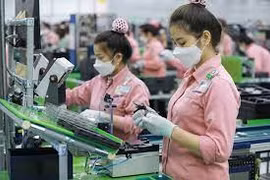 Chọn lọc đầu vào, giám sát đầu ra
