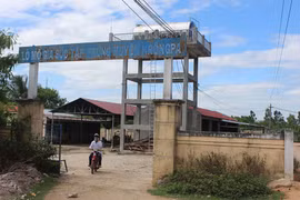 Gia súc, gia cầm giết mổ tập trung: Chính quyền địa phương vào cuộc