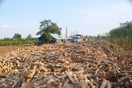 Tháo dỡ 2 lò than gây ô nhiễm môi trường