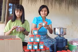 Nhiều đặc sản sẽ giới thiệu trong lễ hội hoa dã quỳ
