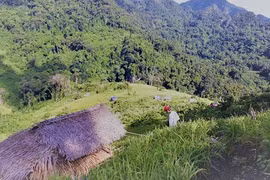 Nông nghiệp sạch của người vùng cao