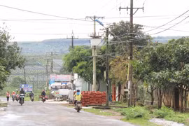 Nam Yang: Nỗ lực giữ chuẩn nông thôn mới