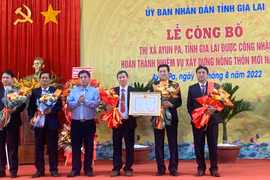 Ayun Pa công bố hoàn thành nhiệm vụ xây dựng nông thôn mới năm 2020